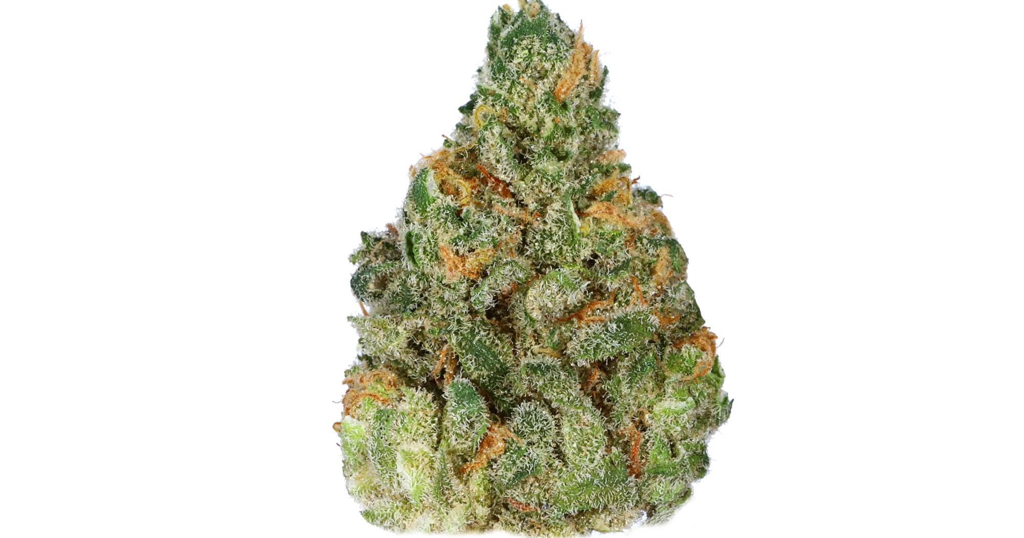 Santa Cruz Dream Smalls