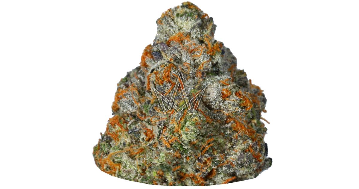 Gelato 41 Indoor