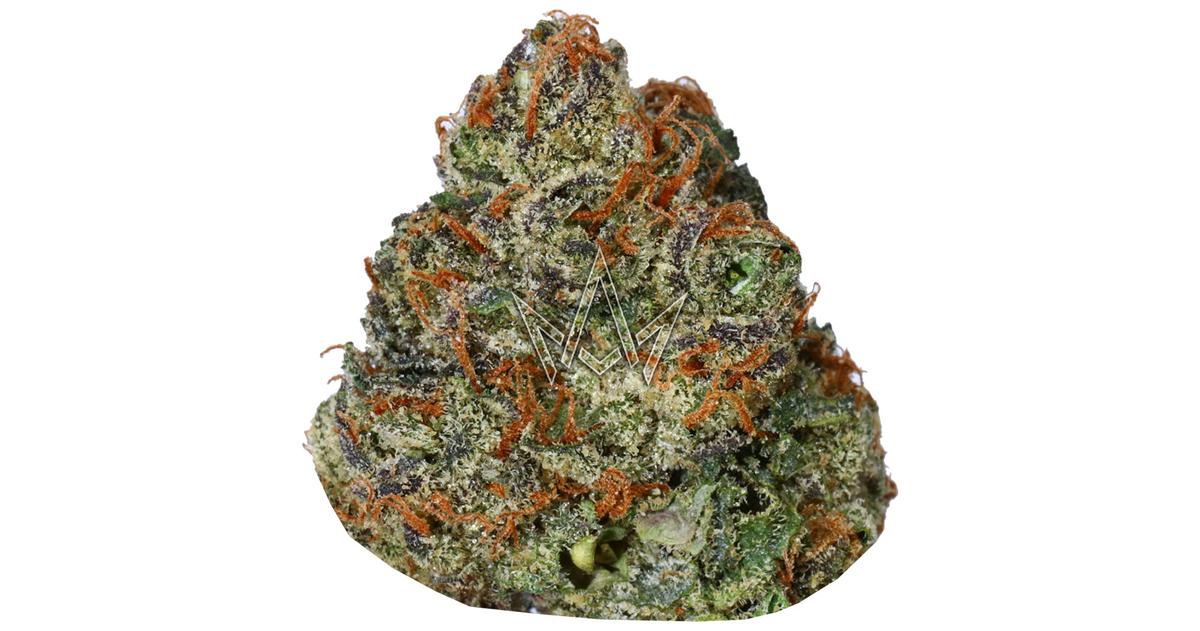 Blue Nerdz Living Soil Flower