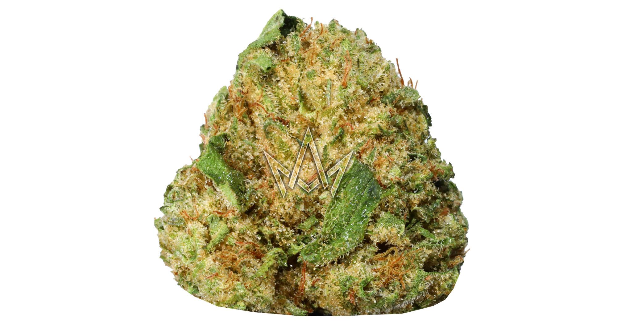 Lemon Snow Leopard #69