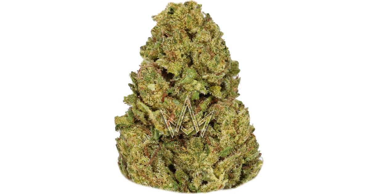 Lemon Cherry Gelato Top Shelf Indoor