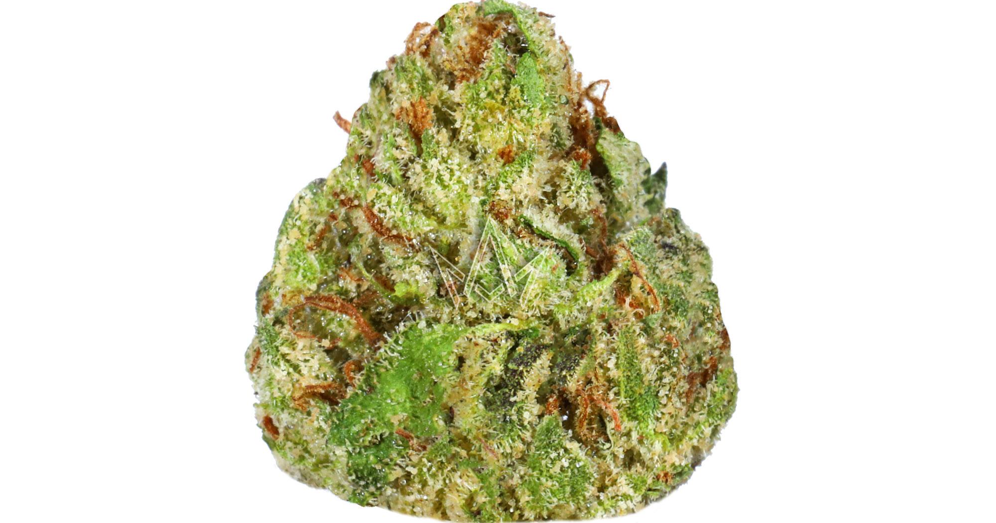 Forbidden Runtz Premium Flower