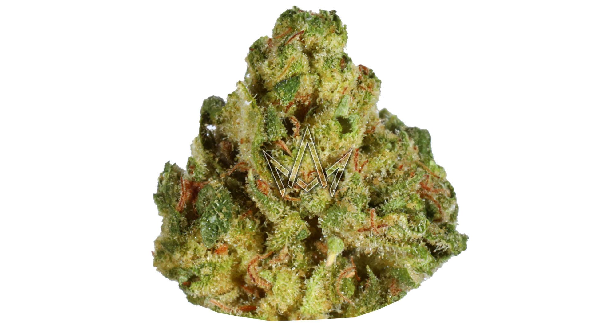 Honey Dew Watermelon Premium Smalls