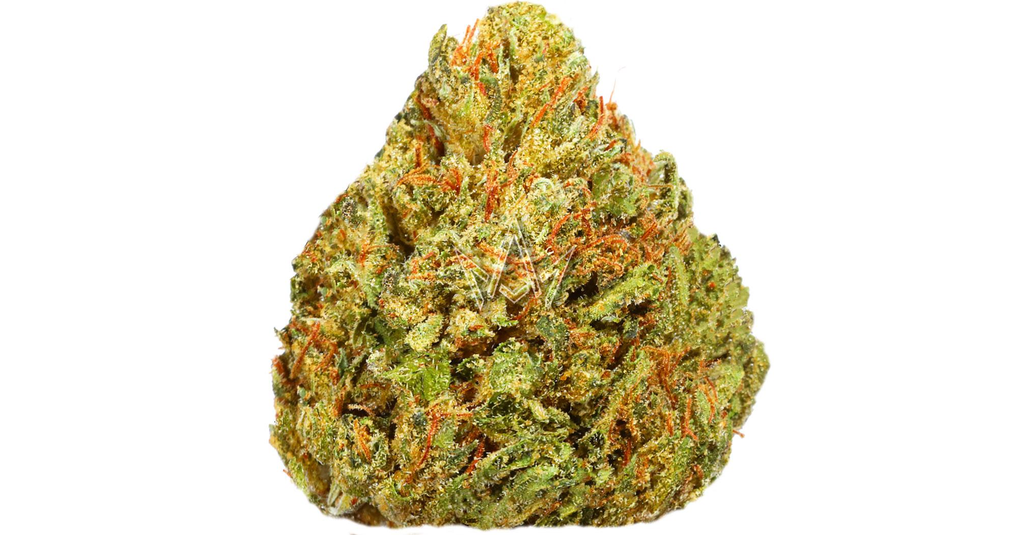 Orange Creamsicle