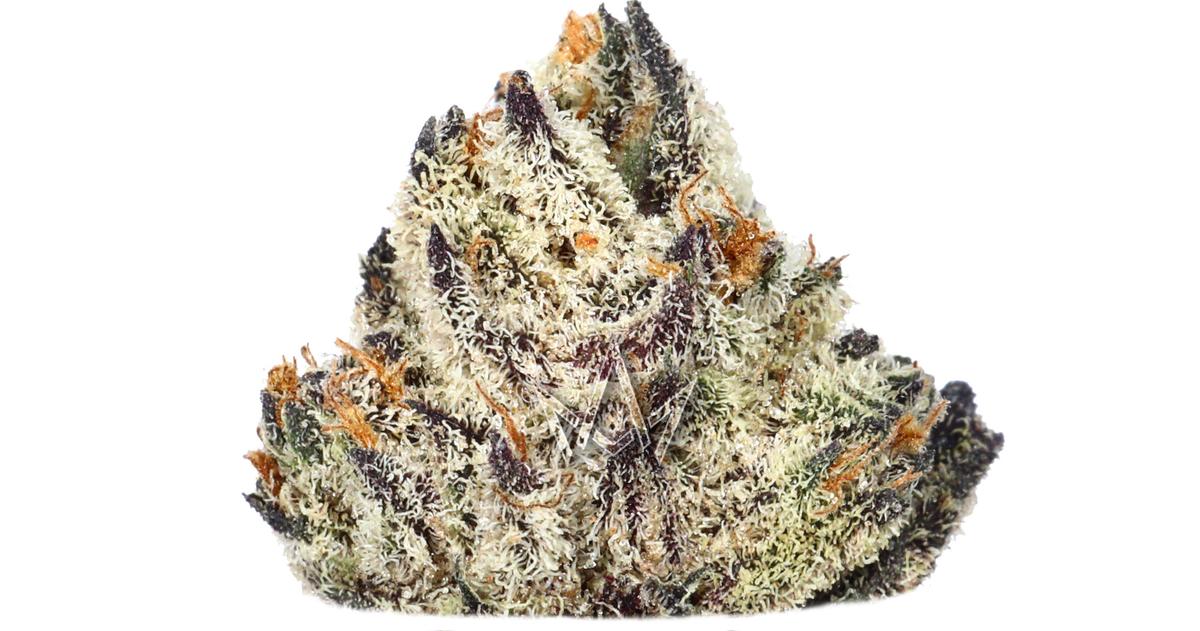 Black Ice