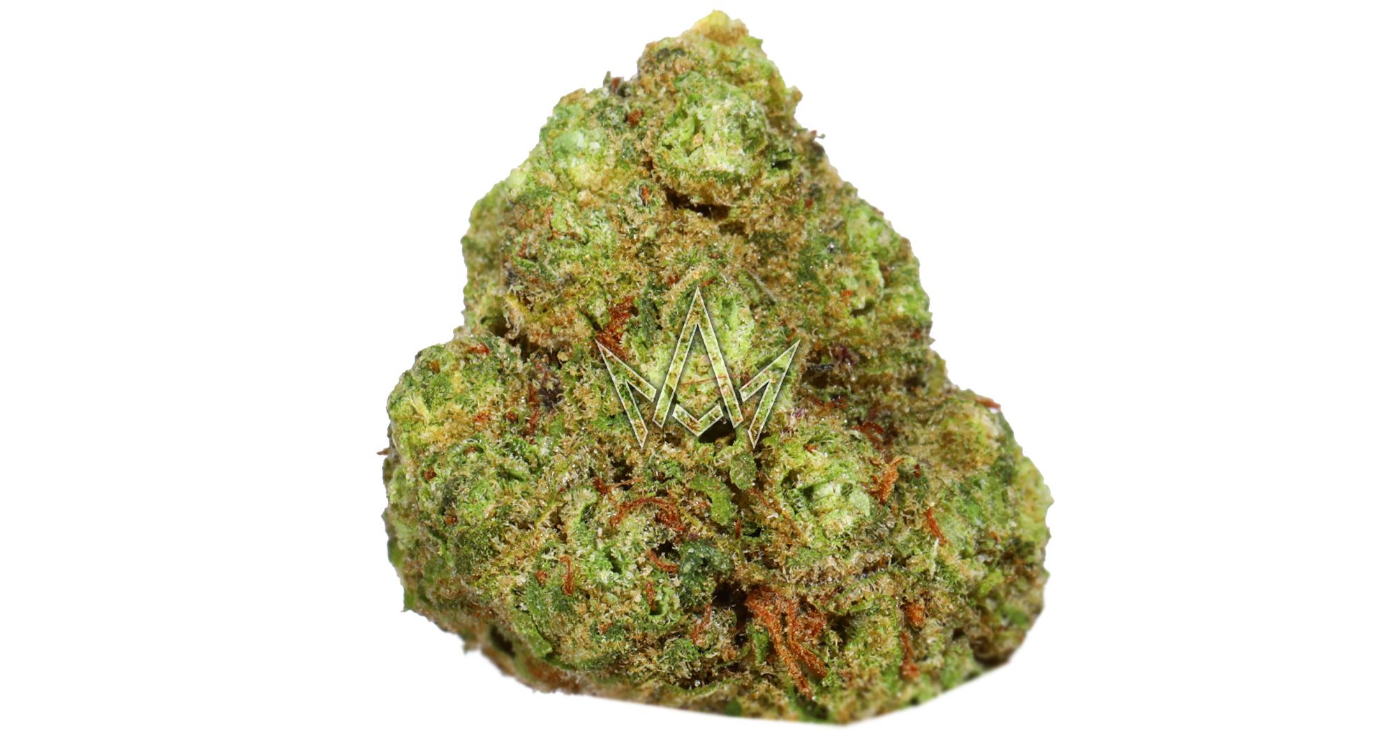 Black Cherry Gelato