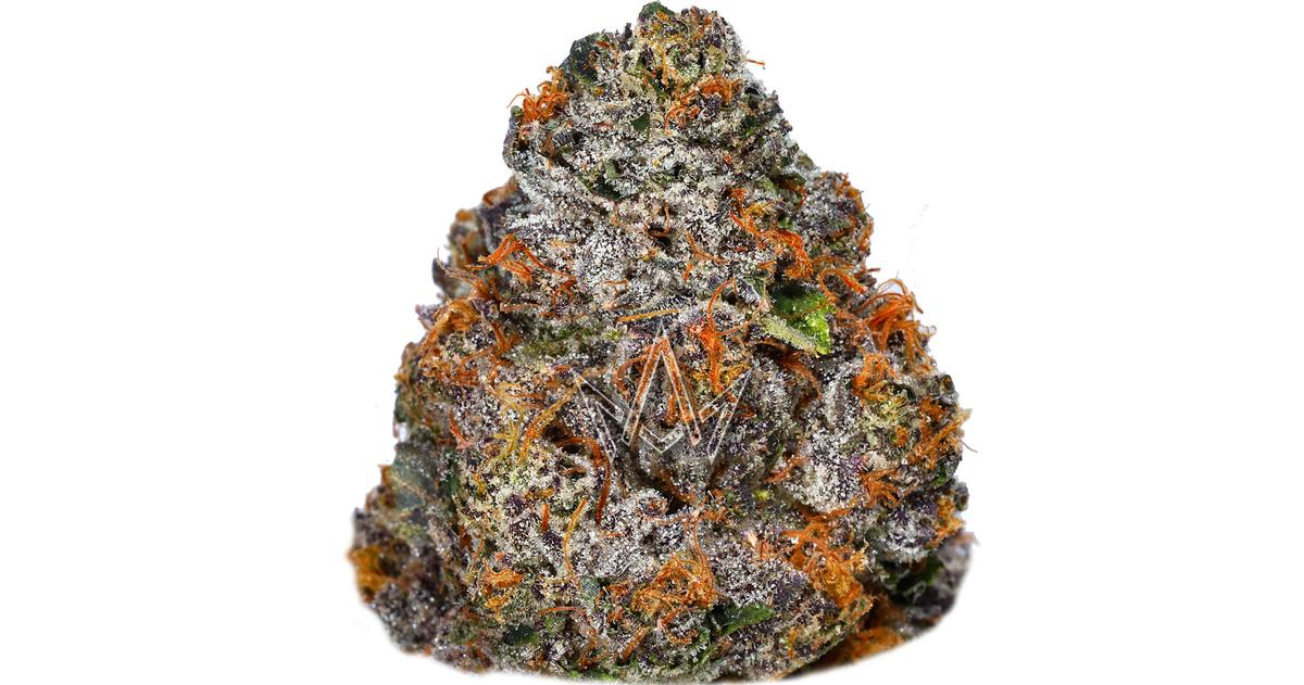 Palo Cedro
