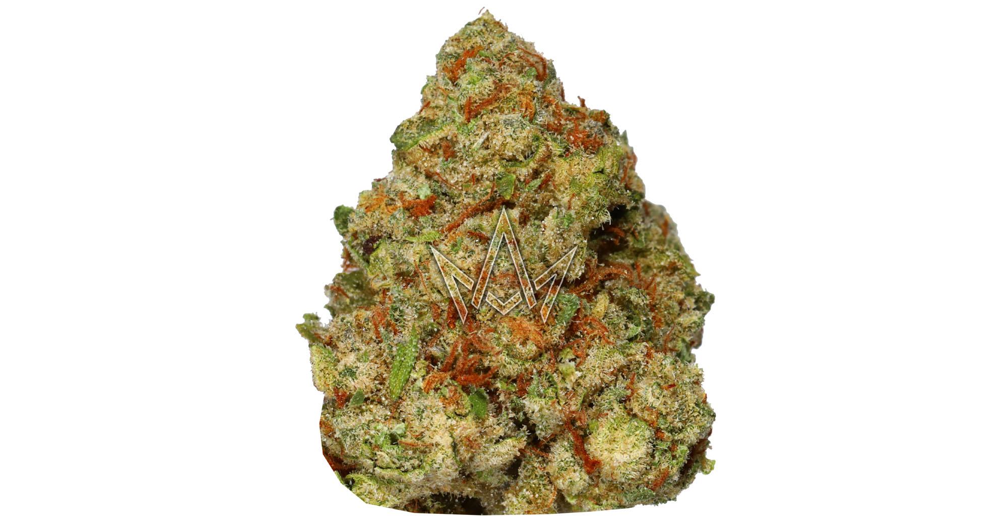 Cheetah Piss x Lemonade