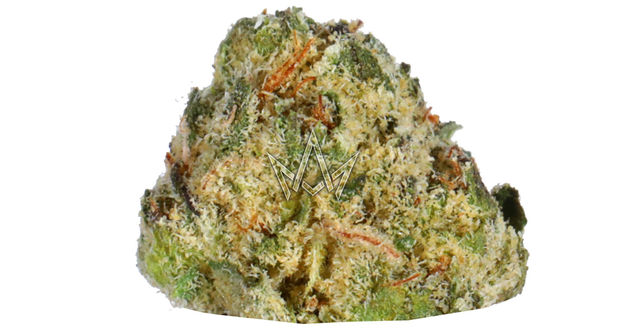 Durban x Biscotti Indoor Smalls