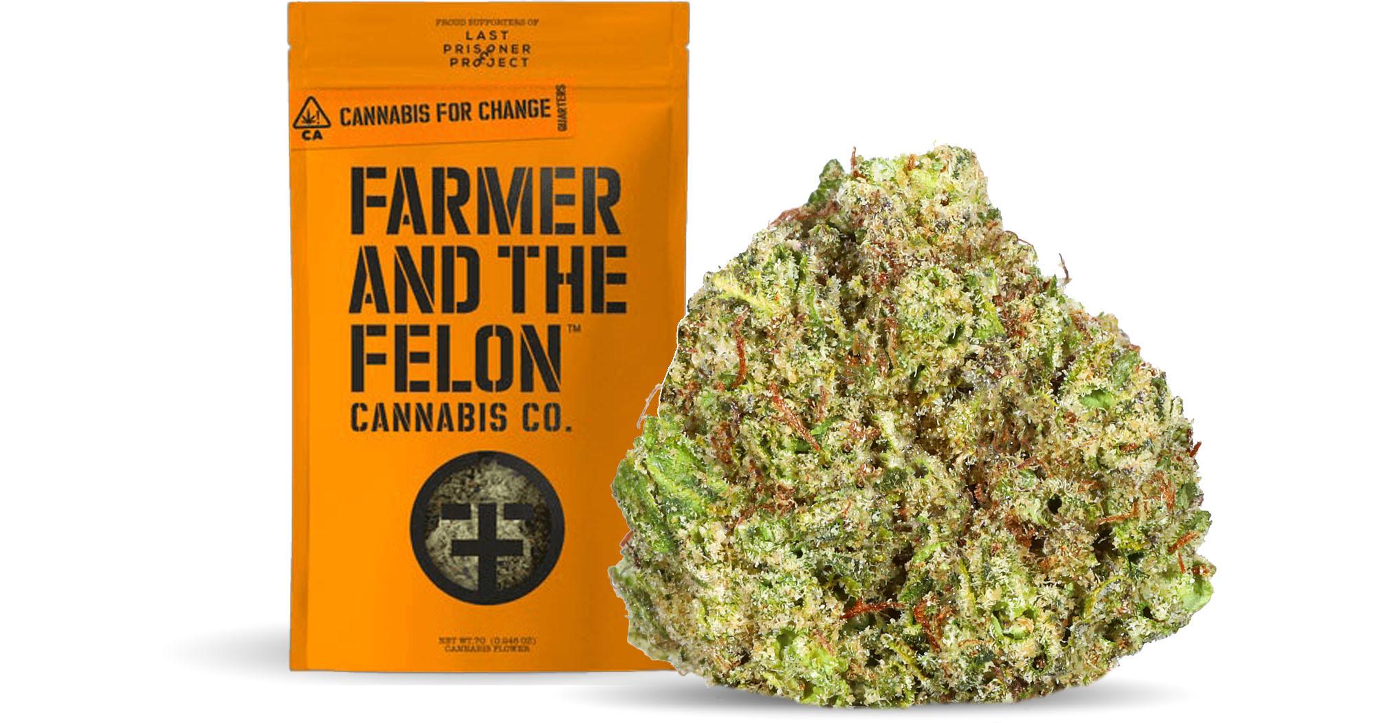 Gelato Z