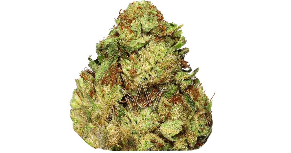 Papaya