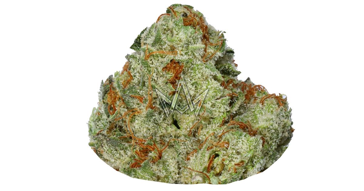 Mendo Diesel