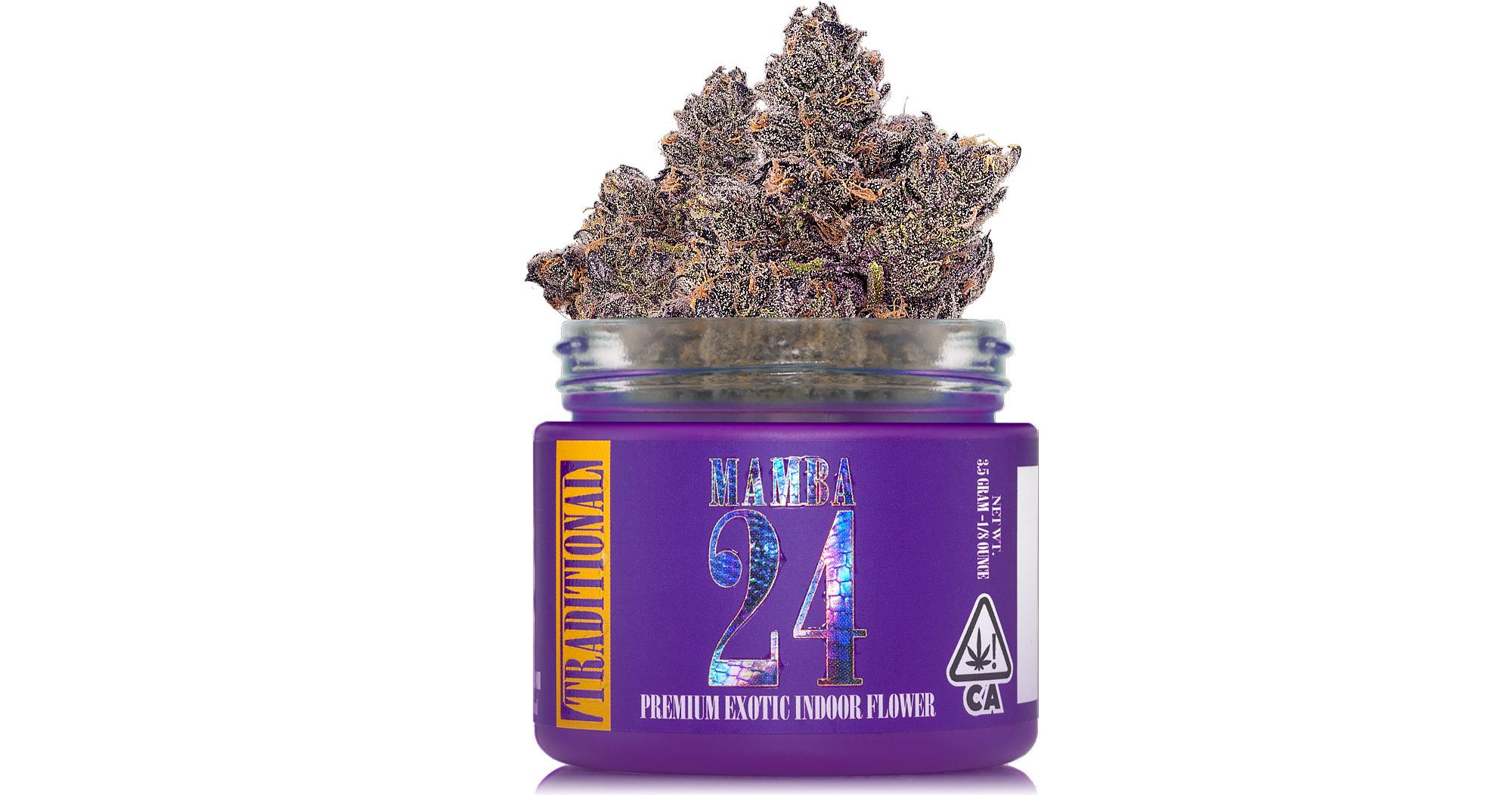 Mamba 24