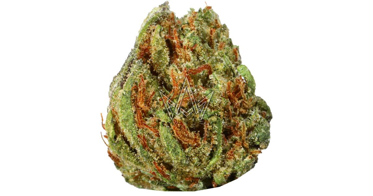 Orange Creamsicle Premium Smalls