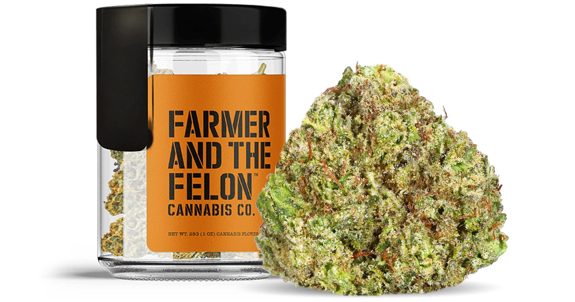 Gelato Z