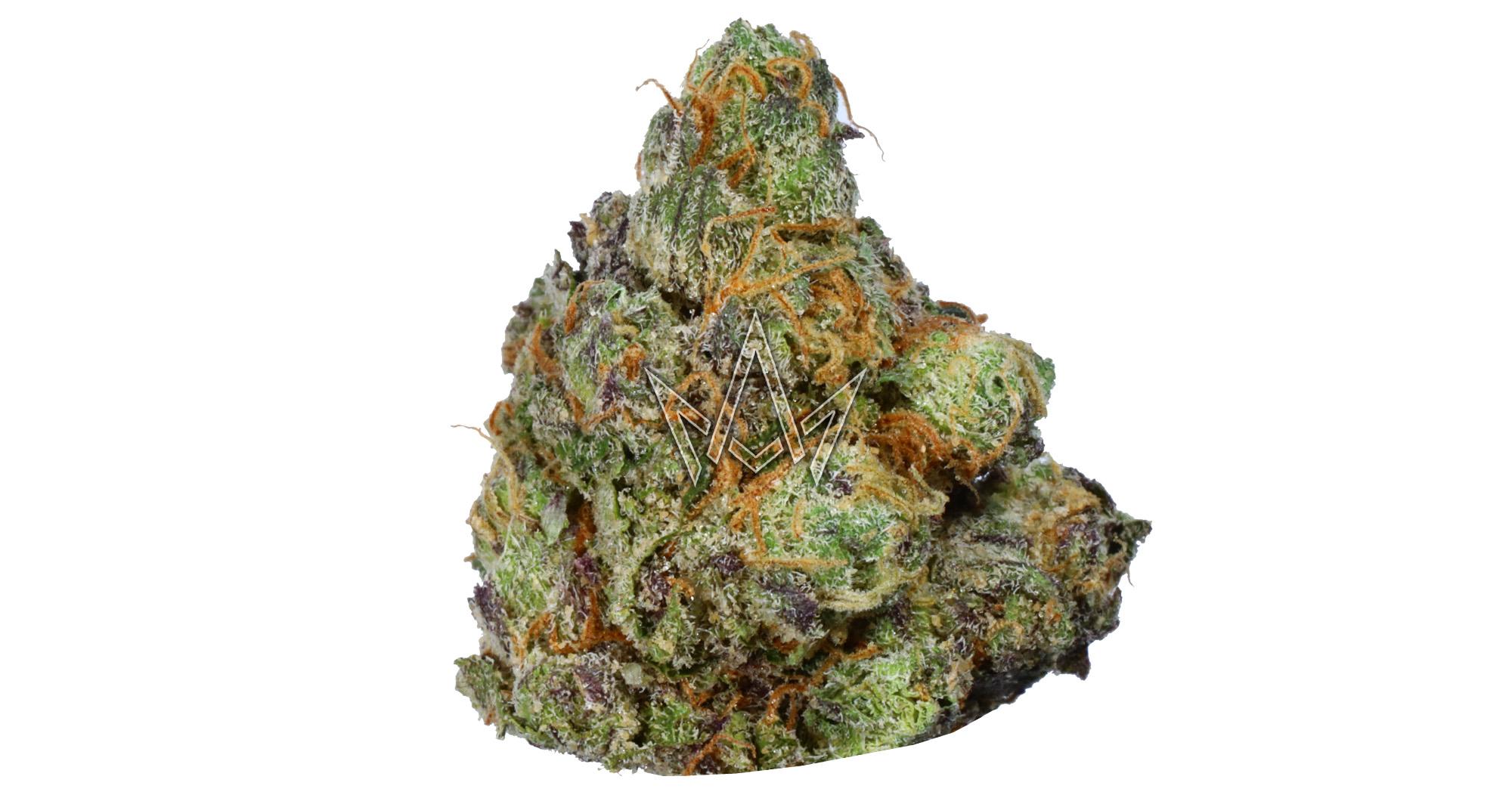 Gelapop