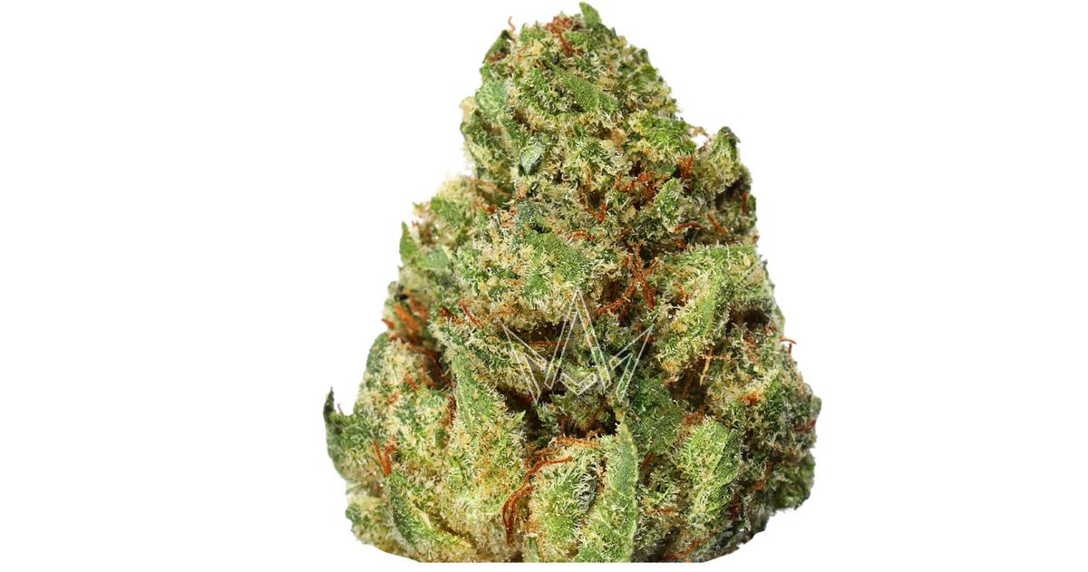 805 Glue