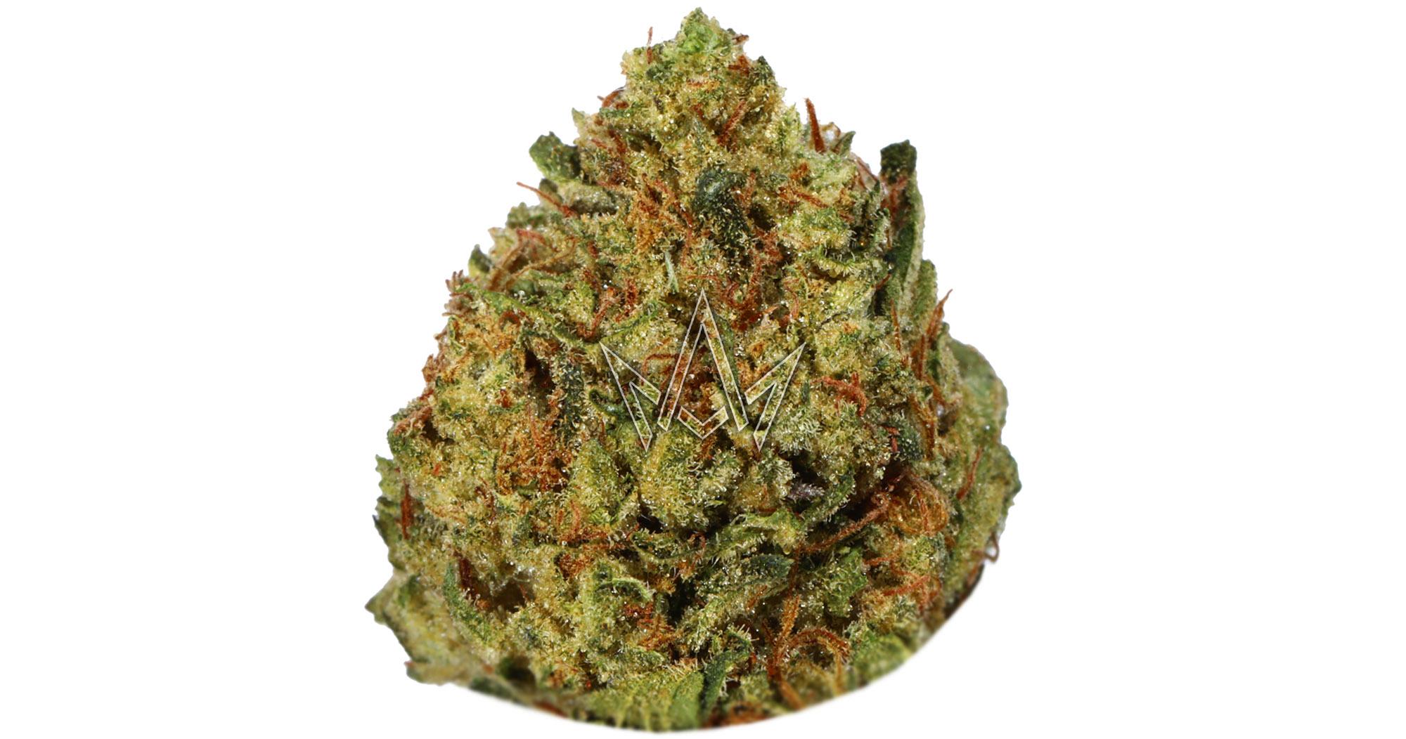 Guava Gelato