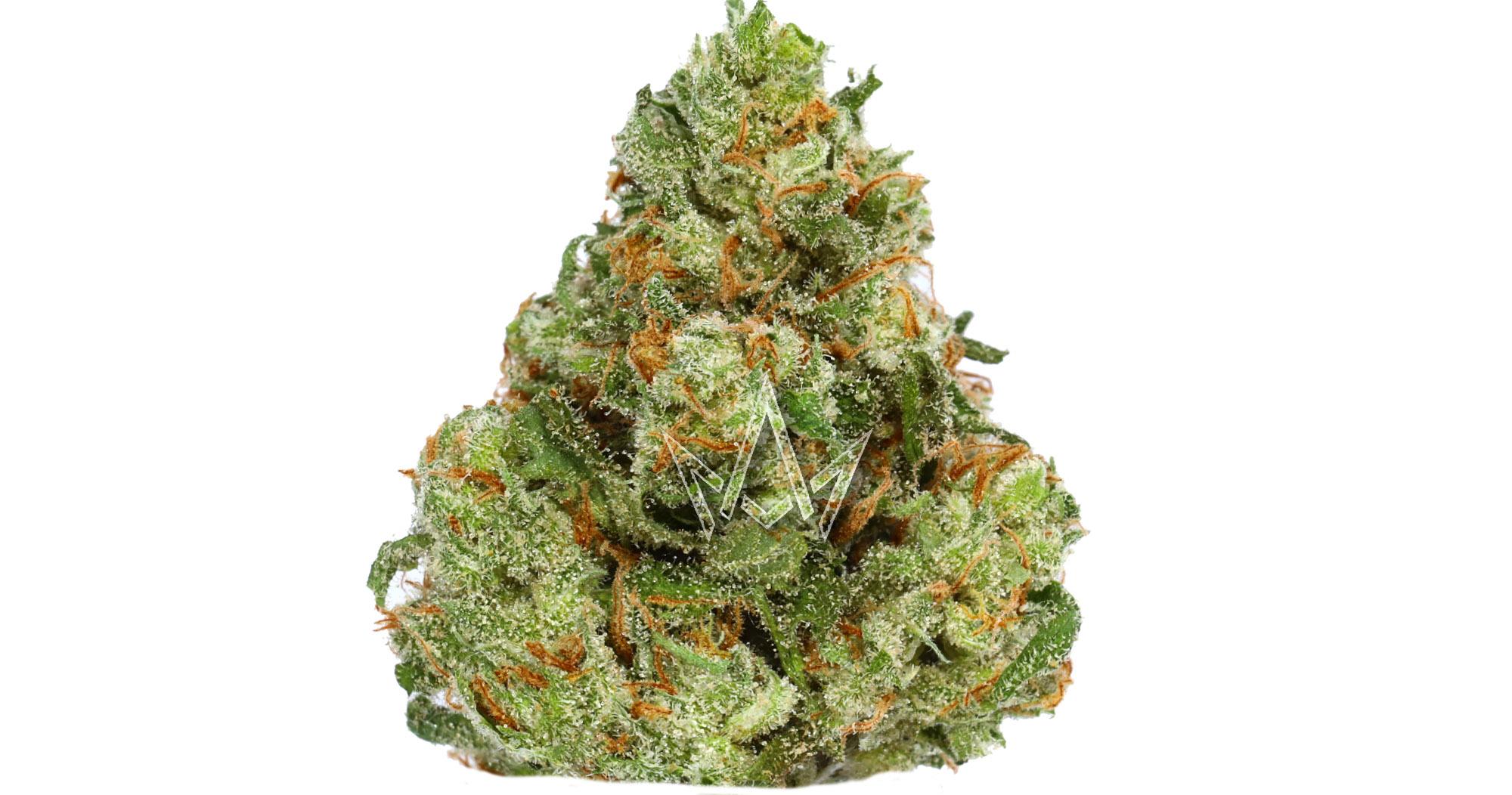 Jack Herer