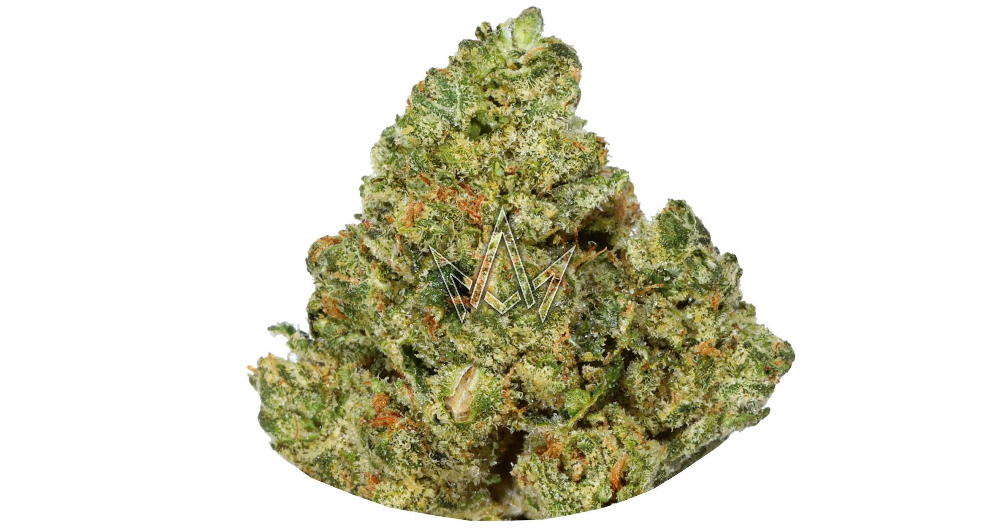 Alien OG