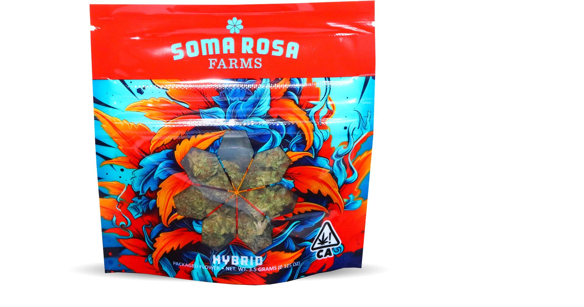 Coco Jam