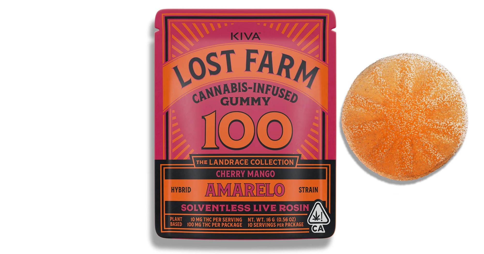 Cherry Mango Amarelo Live Rosin Gummy