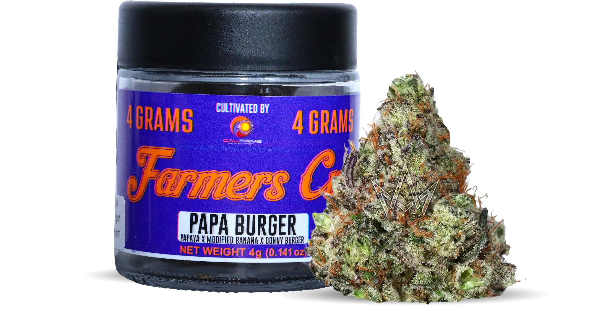 Papa Burger
