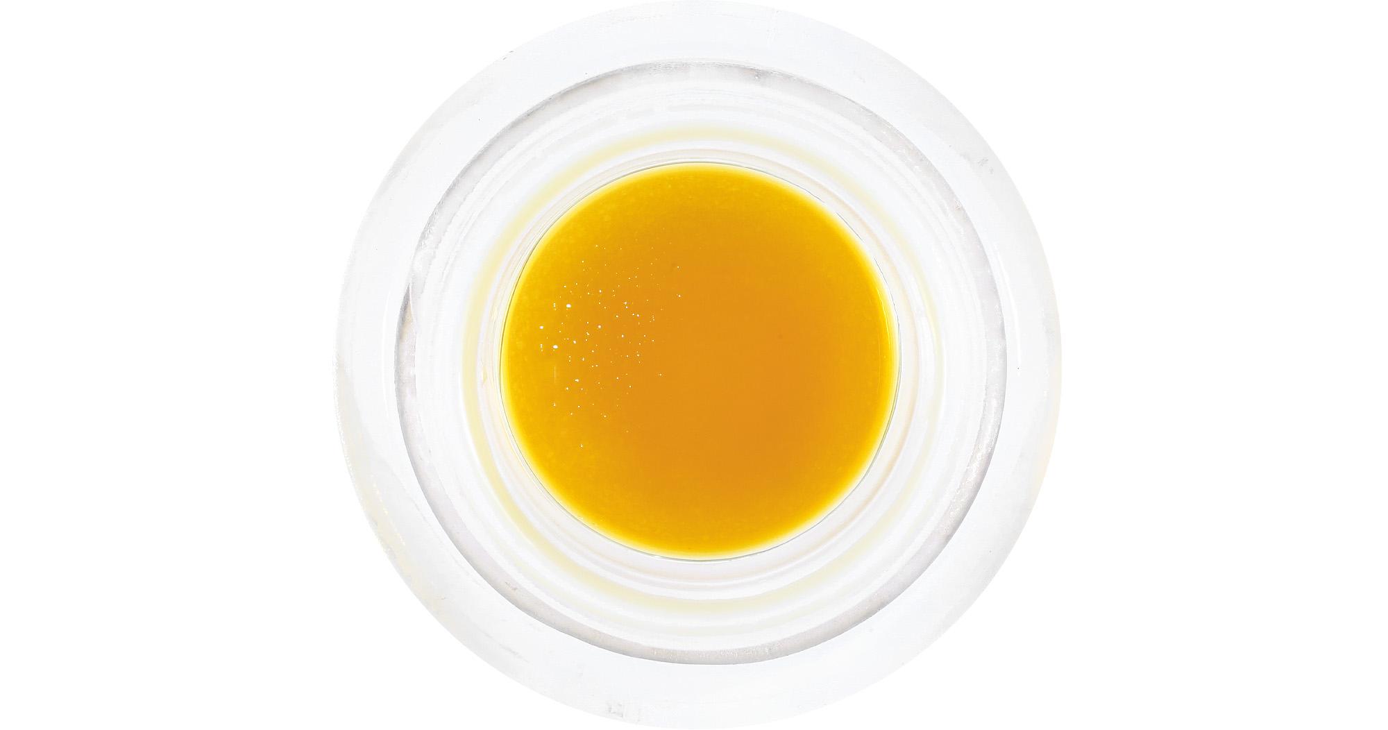 World War Z Live Resin