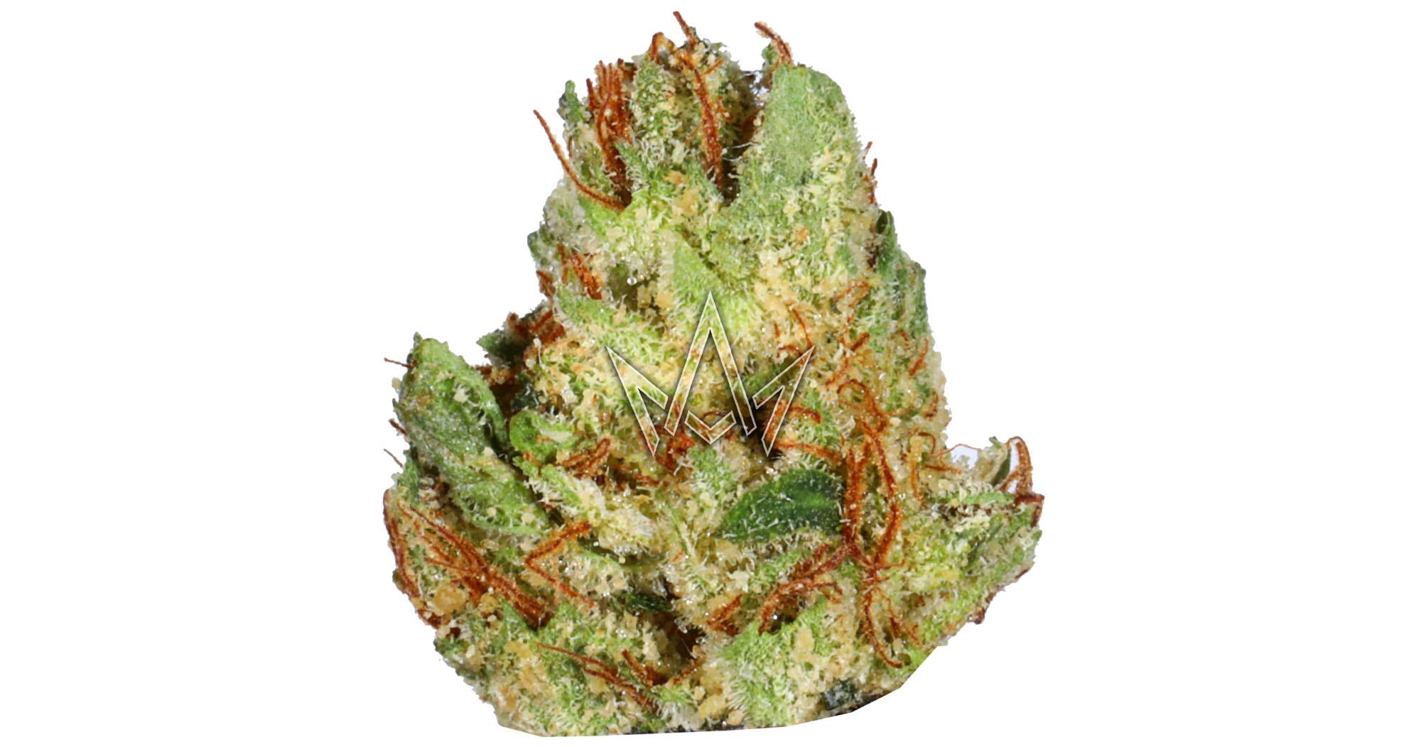 Torchbearer OG Smalls