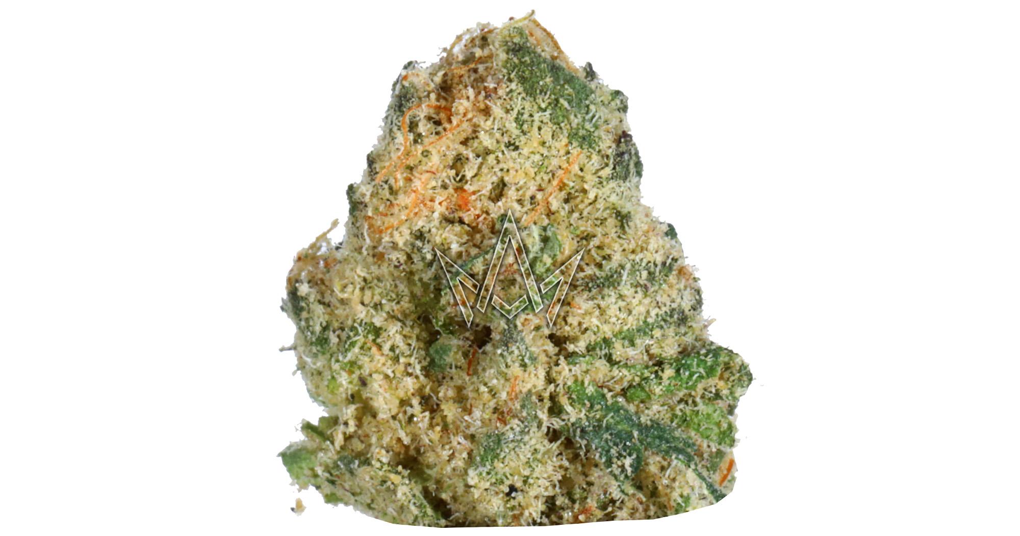 Permanent Marker x Gelato 41 Indoor Smalls