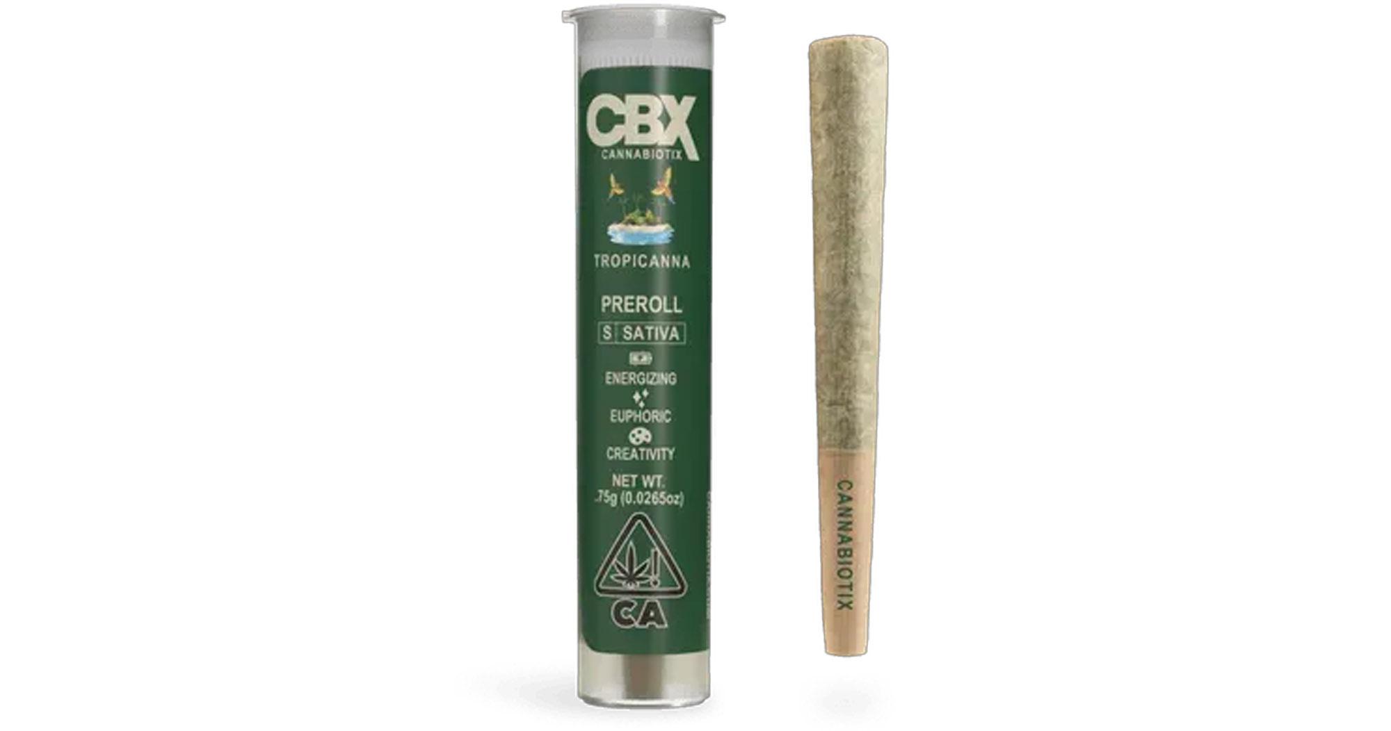 Tropicanna Pre-Roll