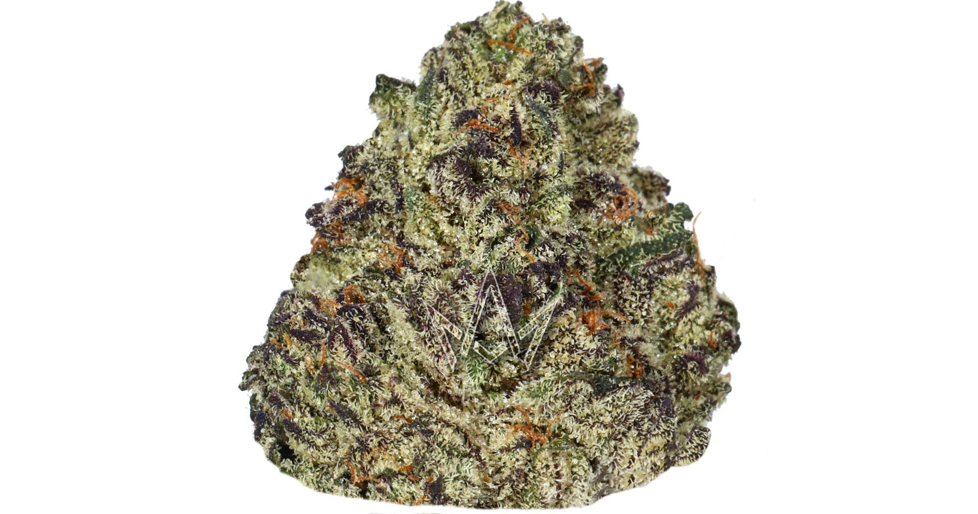Purple Cream