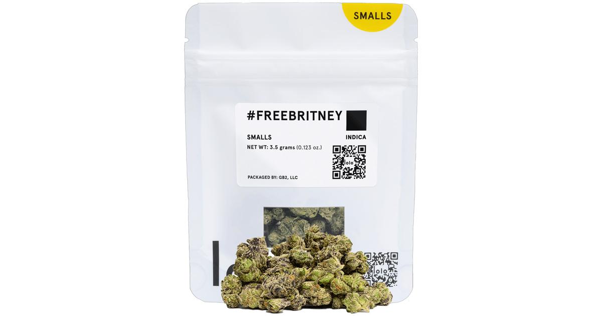 #freebritney Indoor Smalls