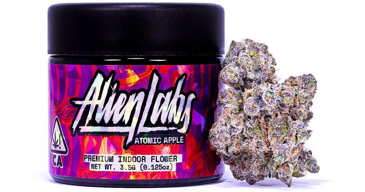 Atomic Apple Indoor