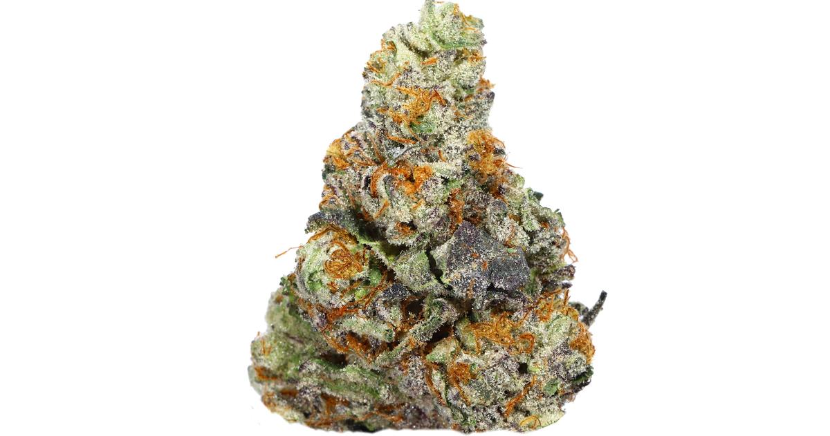 Violet Gelato
