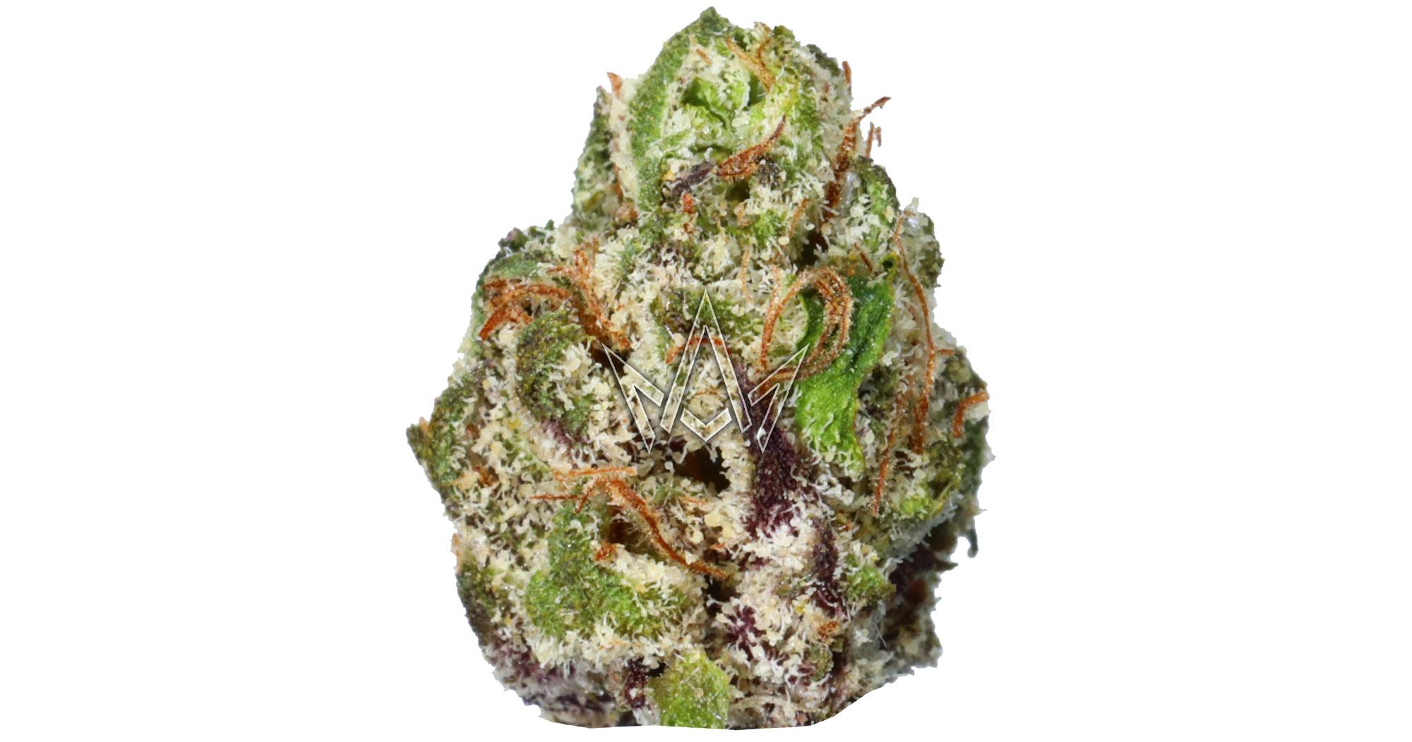 Fruity Forest Smalls