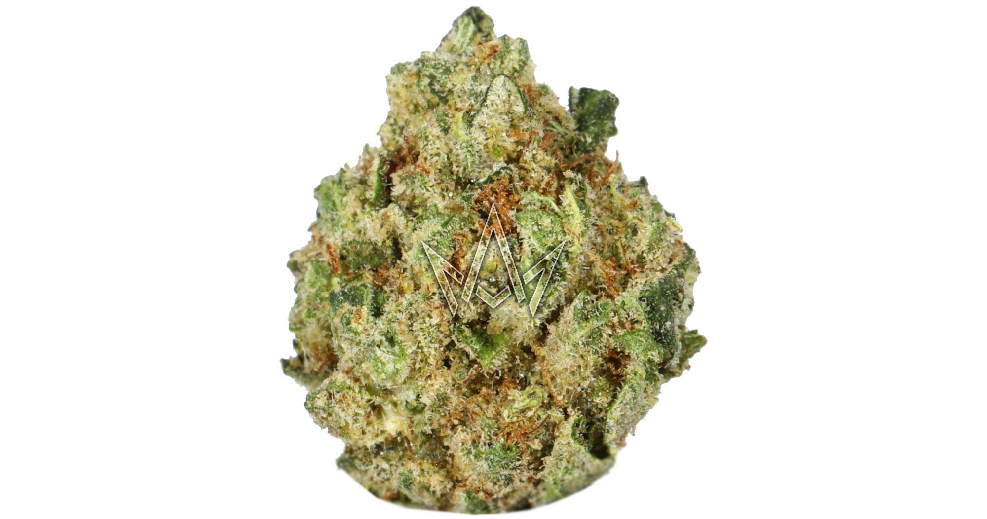 Gelatti x Gelonade Premium Smalls