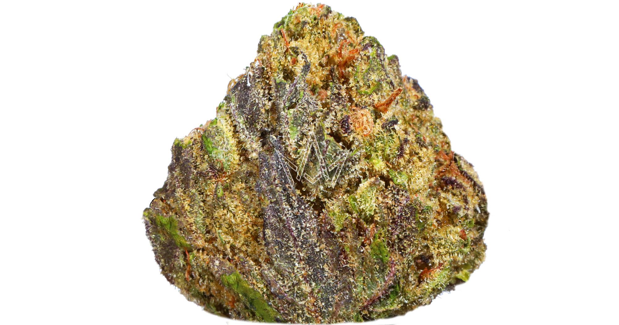 Choco Cherry Premium Smalls