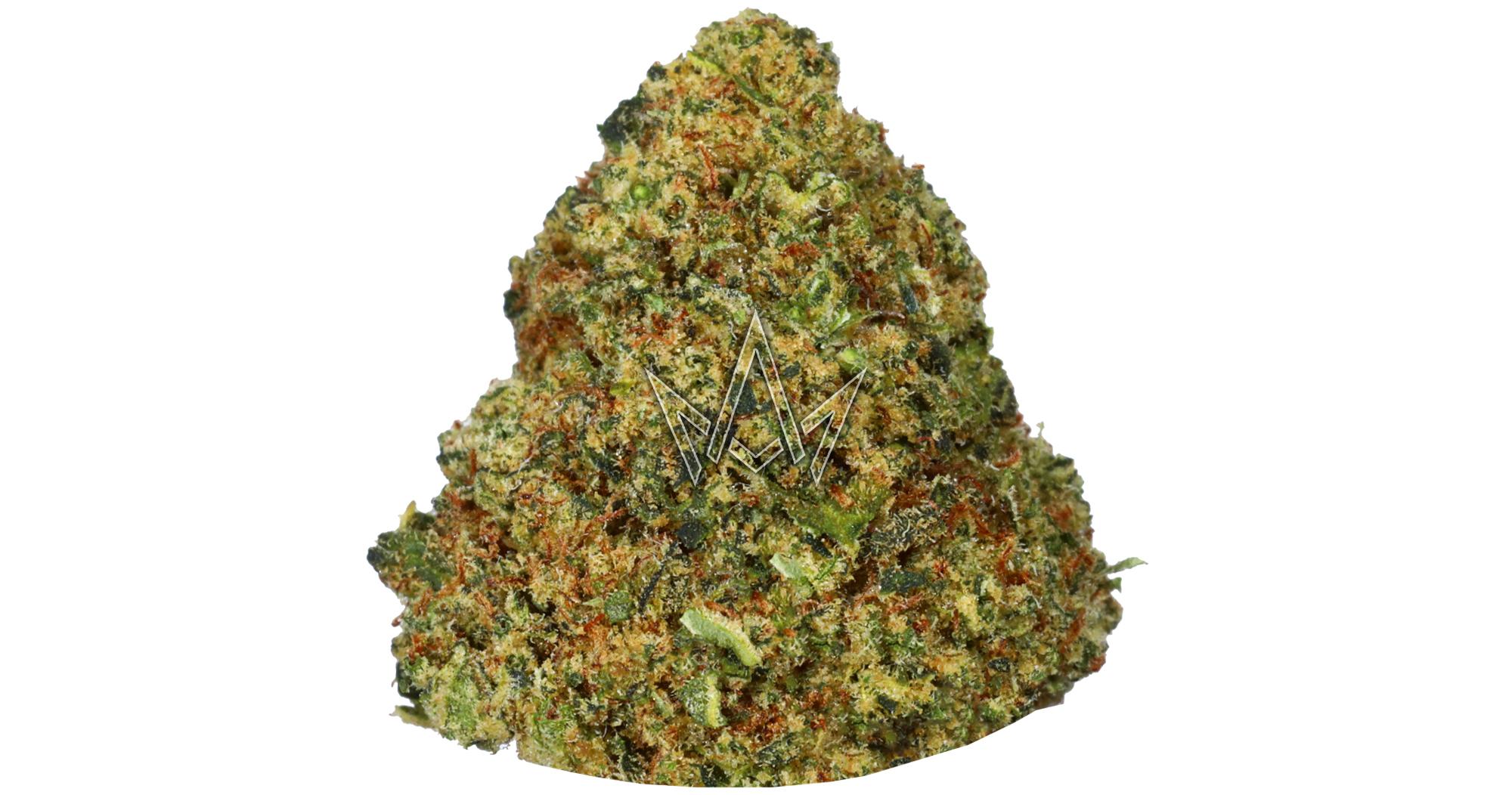 Z x Georgia Pie Outdoor