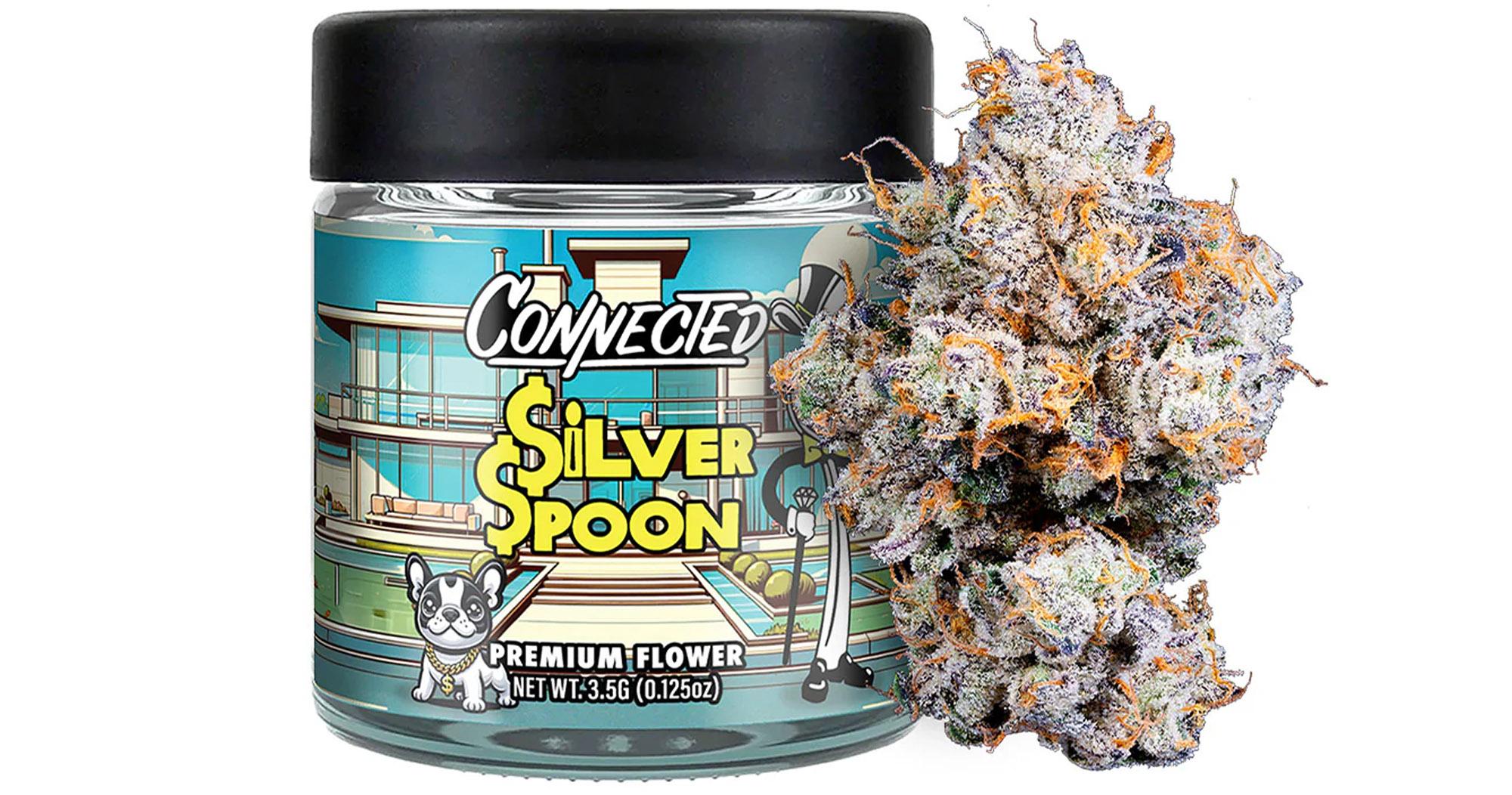 Silver Spoon Indoor