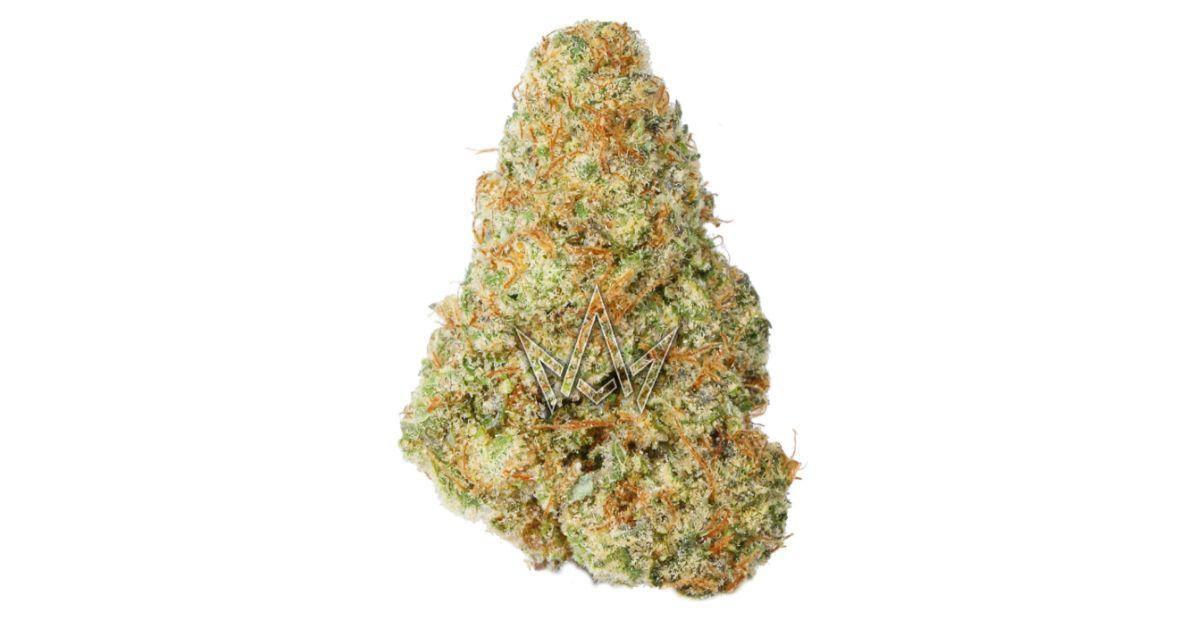 5. Mimosa