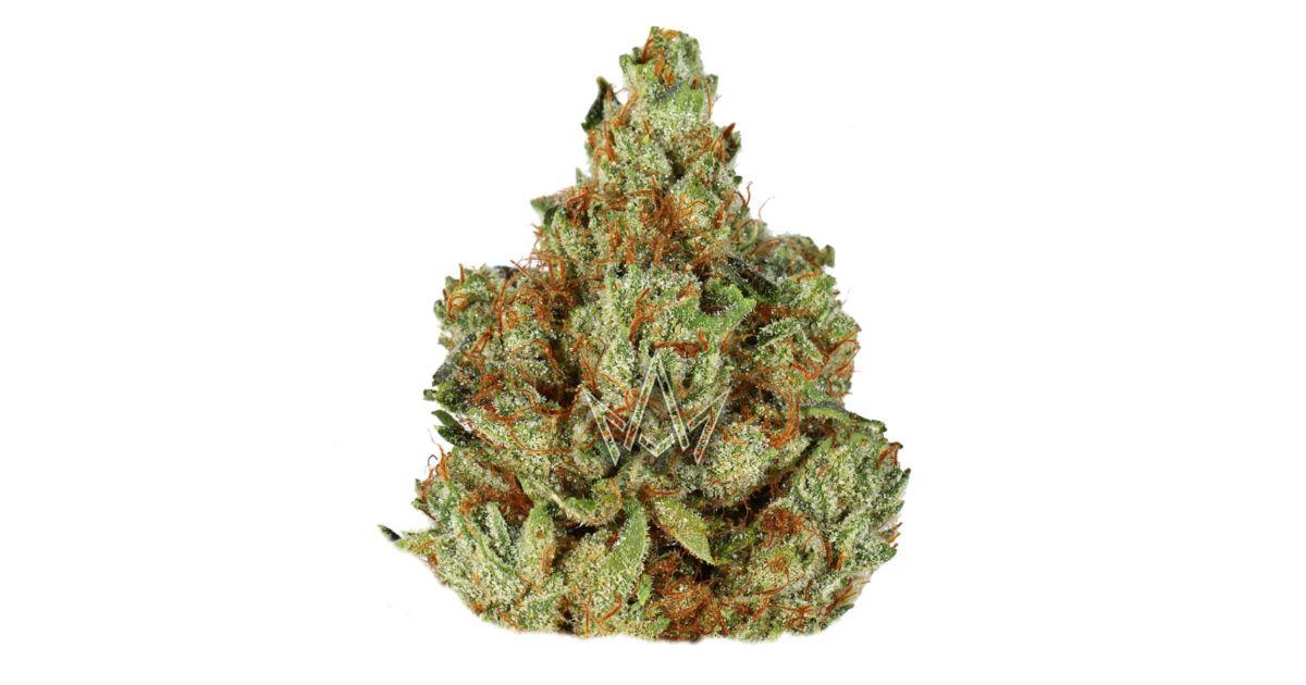 Jet Fuel OG - Cali Lotus