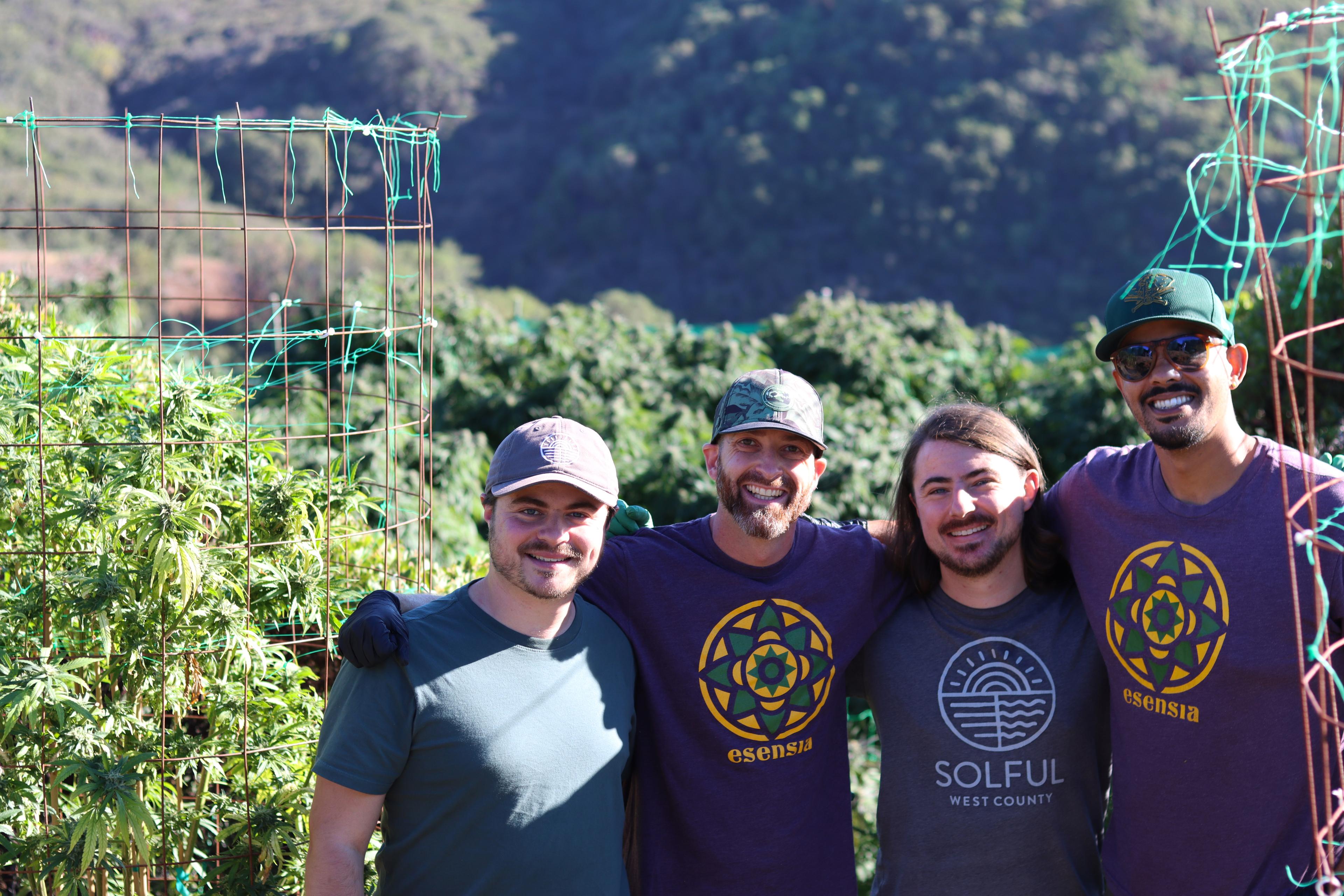 Solful Handpicked Flower: The Essence of Northern California