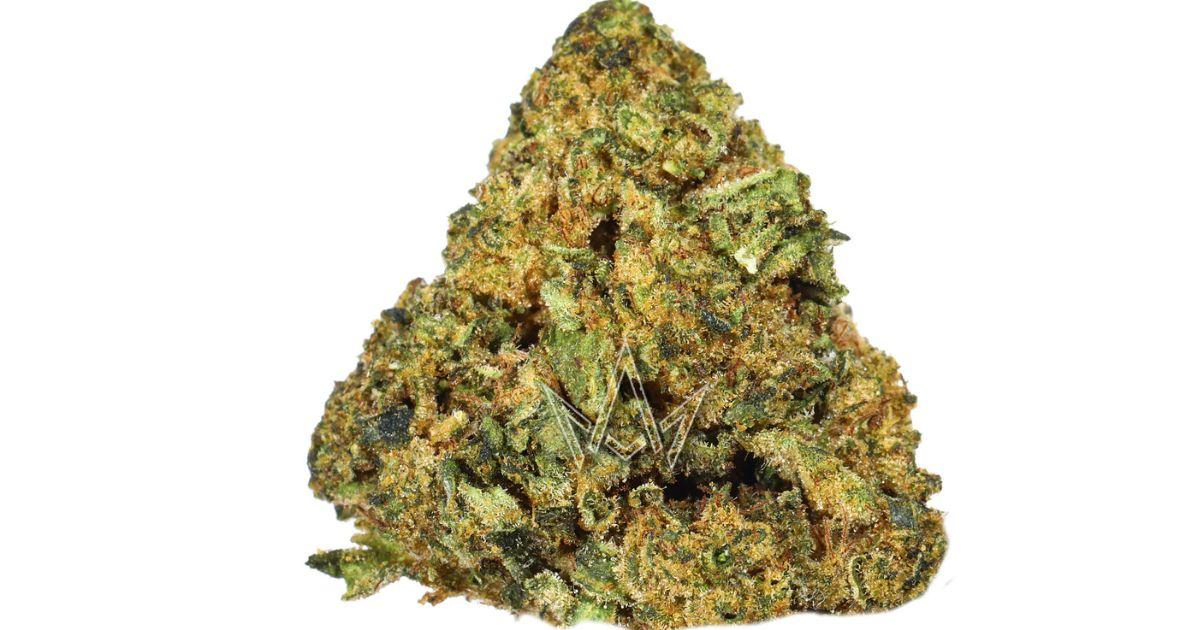 Gelato x High Octane OG