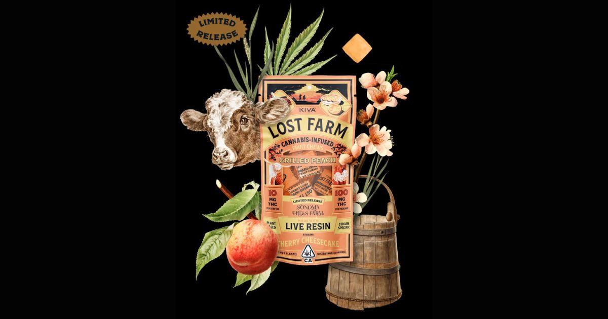 DomPen and Lost Farm Collaborations