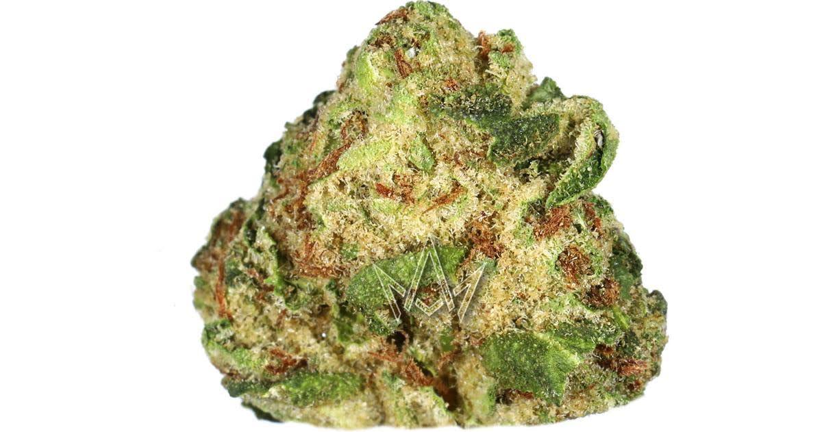 Jack Herer x Skunk #1 - Howie Roll