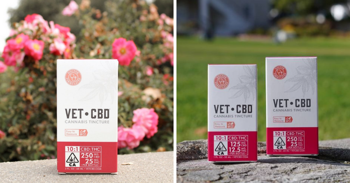 Vet CBD - 10:1 Tincture