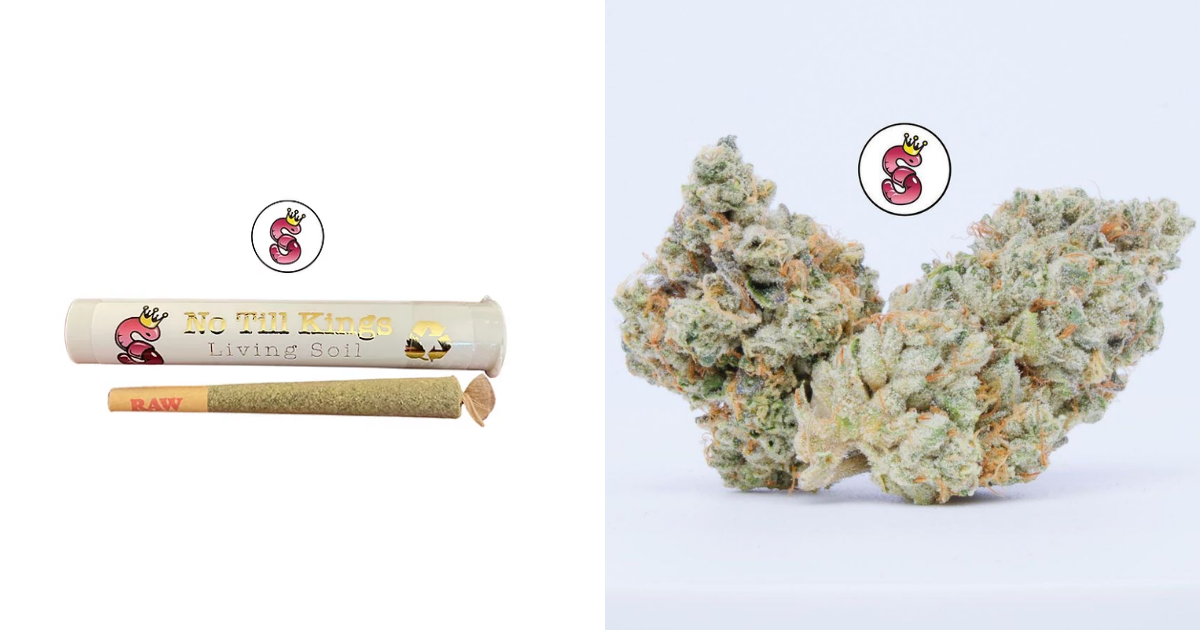 SFV OG and Animal Mints