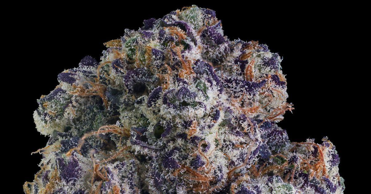 Clementine Sour