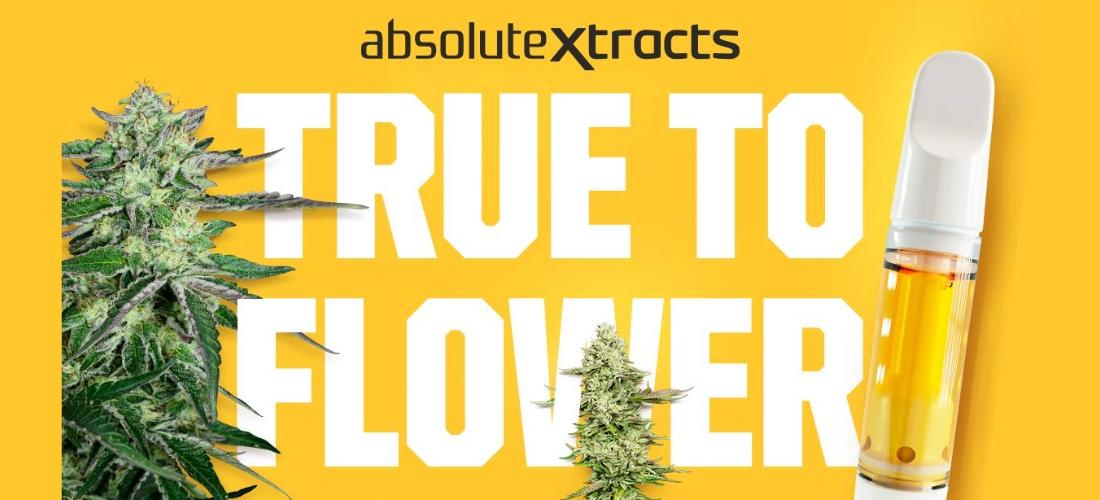 ABX (AbsoluteXtracts)